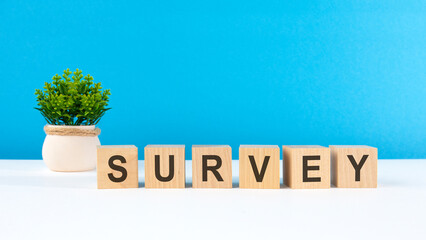 the word survey is written on wooden cubes on a light blue background