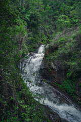 Mountain aqua cascade waterfall inside of wild tropical timberland
