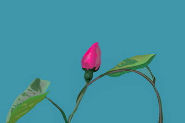 Pąk róża liście na niebieskim tle © Monika