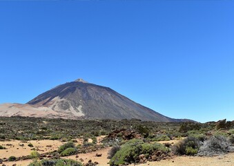 Montaña Teide Tenerife con plantas y cielo