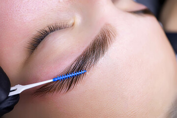 combing the hairs in the eyebrows with a brush after the procedure of coloring and laminating the...