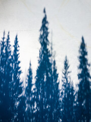 Aerial view of frozen lake and forest tree shadows in sunny spring day, Latvia.