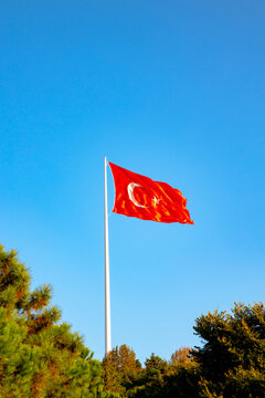 Turkish flag. Turkish flag with trees isolated on blue sky background