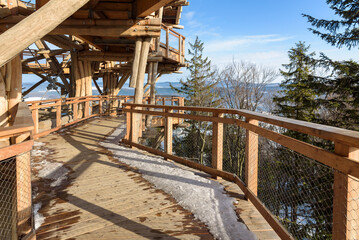 Fototapeta na wymiar Wooden path of observation tower amogns the trees