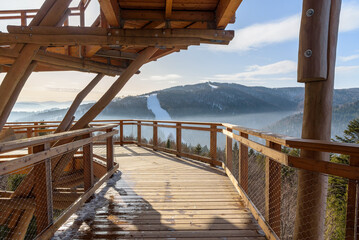 Wooden path of observation tower amogns the trees