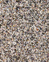 The sandy surface. The texture of the sea shore.