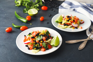 Plates of Mexican vegetable salad with black beans and radish on dark background
