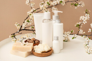 Bowl of shea butter, cosmetic products and blooming branch on table near color wall, closeup