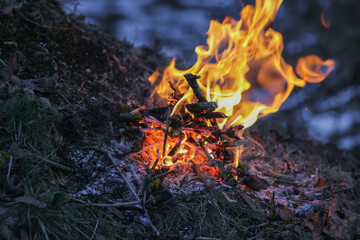 Close-up of a campfire at night. Bonfire.
