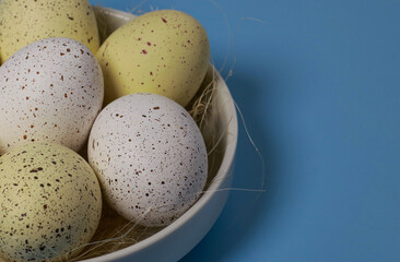 close up of yellow easter eggs in white bowl on blue background, copy space	