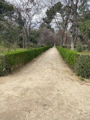 bahn, park, road, baum, natur, wald, baum, garden, gras, landschaft, bürgersteig, sommer, way, gehen, bahnen, fussweg, frühling, bürgersteig, pfad, bäuerlich, piter, lawn, fahrbahn, blatt, wiedersehen