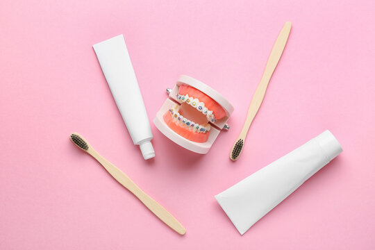 Model of jaw with dental braces, tooth brushes and paste on pink background