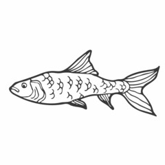 Raw fish hand drawn outline doodle icon. Vector sketch illustration of healthy seafood - fish under water for print, web, mobile and infographics isolated on white background.