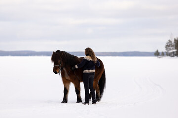 Icelandic horse and rider standing on lake ice. Brown horse.