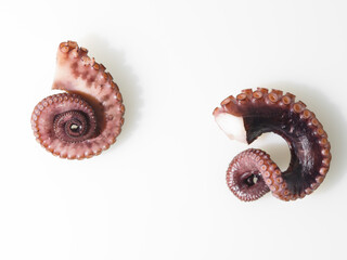 Parts of a marine octopus clam, two legs with tentacles and suckers. Isolated on white background. Wildlife, biology, ocean, aquarium. Cooking - cooking gourmet seafood dishes.
