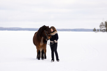 Icelandic horse and rider standing on lake ice. Brown horse.