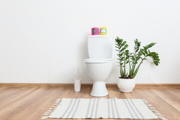 Paper rolls on toilet bowl and houseplant in interior of stylish restroom