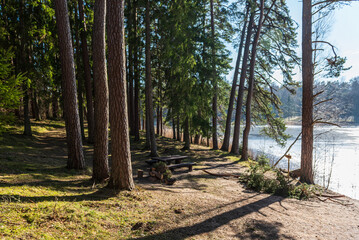 Rest area in the woods by the lake on a sunny spring day, Ivande, Latvia.