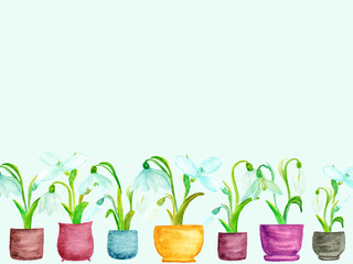 watercolor background with snowdrop flowers in pots