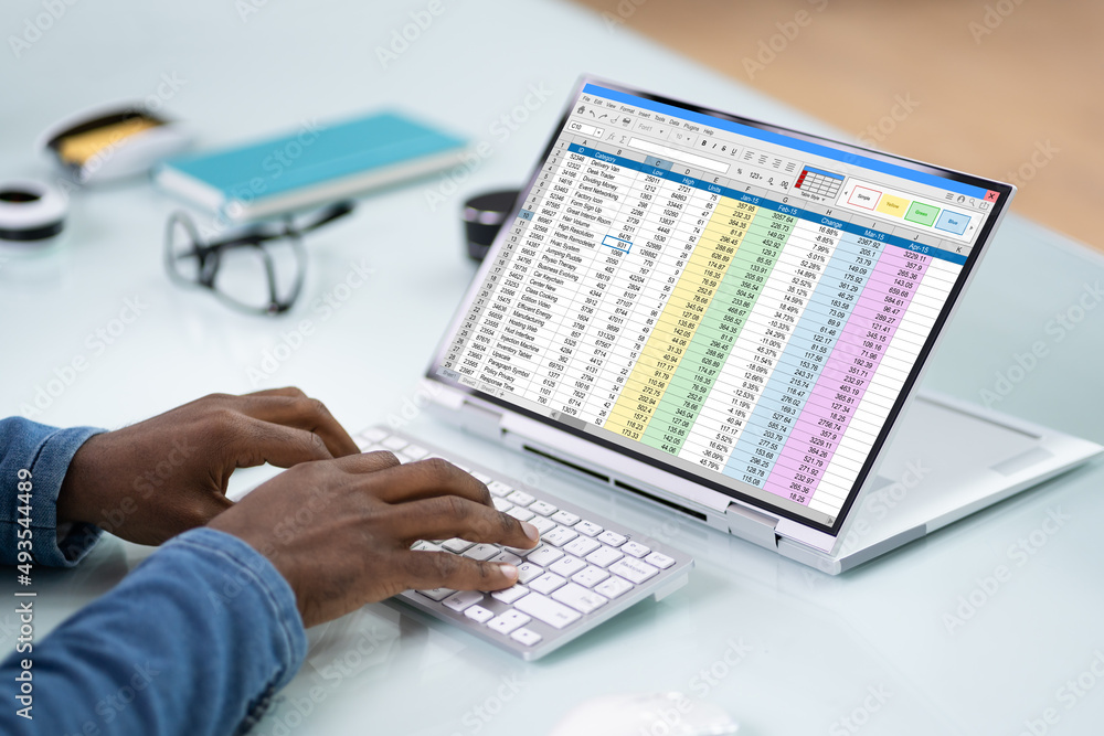 Poster Electronic Spreadsheet Analyst Or Auditor Using Software