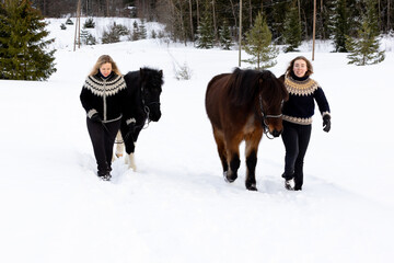 Fototapeta na wymiar Two Icelandic horses with riders walking on uphill. Deep snow. Riders with Icelandic sweater.