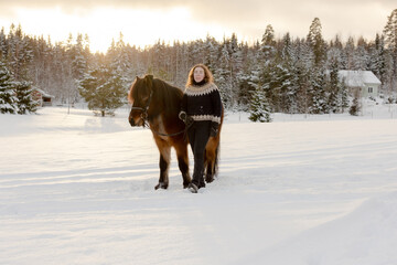 Fototapeta na wymiar Icelandic horse and rider posing during sunset. Backlight from the sun.