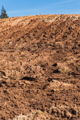 Arable field in a hilly place, at the edge of the forest, on a sunny spring day.