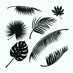 palm leaves silhouettes isolated vector set