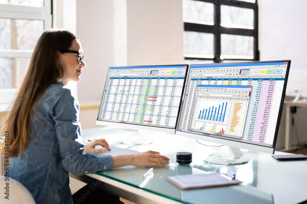 Poster analyst employee using spreadsheet