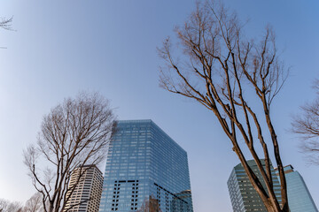 Obraz premium 東京都新宿区西新宿の都市景観