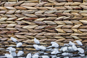 Weidenkätzchen vor einem Hintergrund aus geflecht