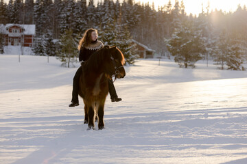 Icelandic horse and rider posing during sunset. Backlight from the sun.