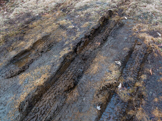 Truck tire ruts in the mud