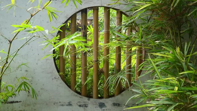 bamboo interior window in a tranquil chinese garden