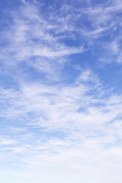 Beautiful epic soft gentle blue sky with many white cirrus and fluffy clouds background texture