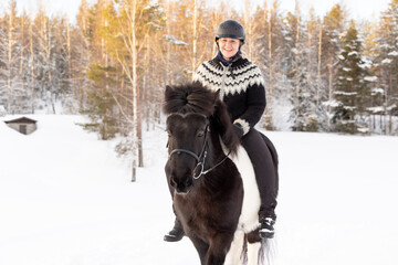 Fototapeta premium Icelandic horse ride in deep snow. Female rider with Icelandic sweater and helmet.