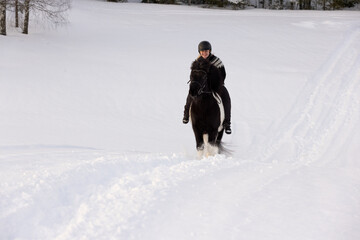 Icelandic horse ride in deep snow. Female rider with Icelandic sweater and helmet.