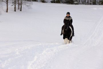 Icelandic horse ride in deep snow. Female rider with Icelandic sweater and helmet.