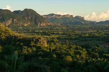 Fototapeta na wymiar landscape scenic of valle vinalles in pinar del rio province of Cuba in early morning sunrise hills of karst topography with lush green tobacco fields and tourist destination location for Cuba 
