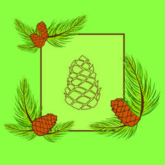 Pine branch and needles. Pine cones. Pine cone in frame. Clipart