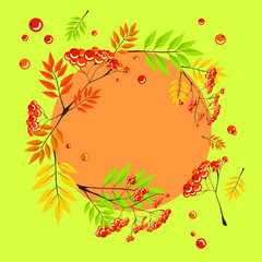 Fototapeta na wymiar Red rowan berries bunch with orange autumn leaves, vector realistic illustration isolated clipart set with circle frame