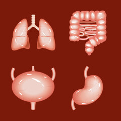 icons human internal organs