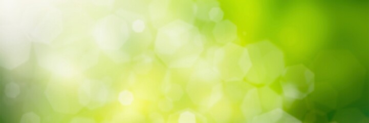 Obraz premium green natural background.