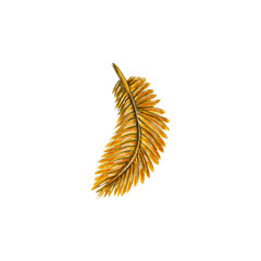 Golden watercolor feather isolated for your design