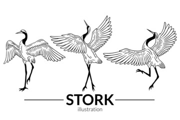 Set Stork Bird Flying Tropical cartoon Wild birds cranes Hand Drawn