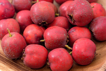 Harvested Japanese hawthorn fruits, Crataegus cuneata