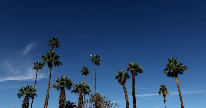 Late afternoon view of a public park in downtown Indio, California, USA.