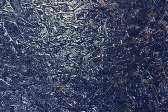 Ice formation at cold snap, ground frost . An icy crust covered the pond on a frosty night, thin elastic crust of young ice, up to 2 cm thick, easily bent by waves. Frosty pattern, ice design