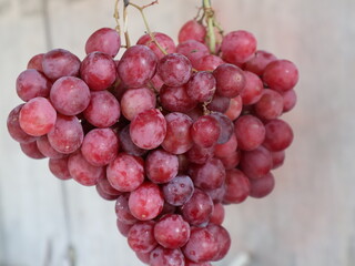 bunch of red wine ready to sell