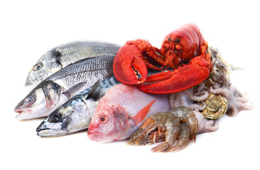Seafood on a white background